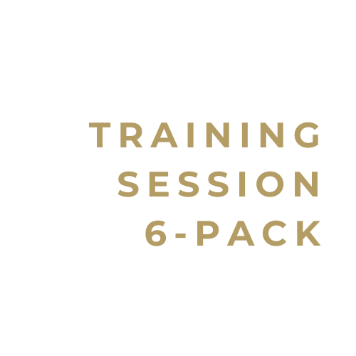 TRAINING SESSION 6-PACK