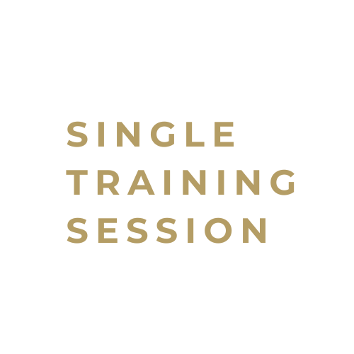 SINGLE TRAINING SESSION